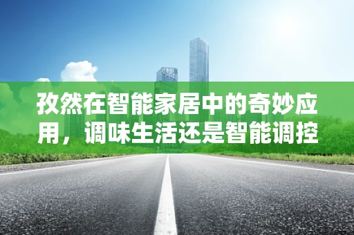 孜然在智能家居中的奇妙应用，调味生活还是智能调控？