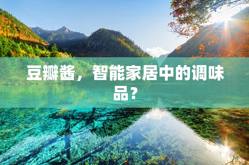豆瓣酱，智能家居中的调味品？
