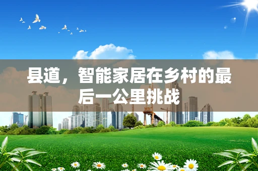 县道，智能家居在乡村的最后一公里挑战
