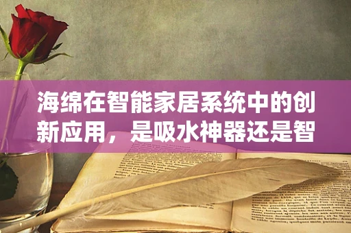 海绵在智能家居系统中的创新应用，是吸水神器还是智能新宠？