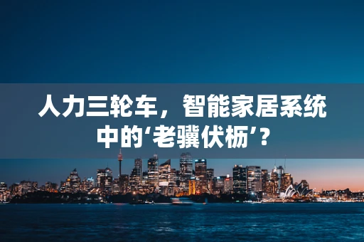人力三轮车，智能家居系统中的‘老骥伏枥’？