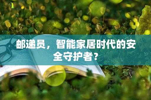 邮递员，智能家居时代的安全守护者？