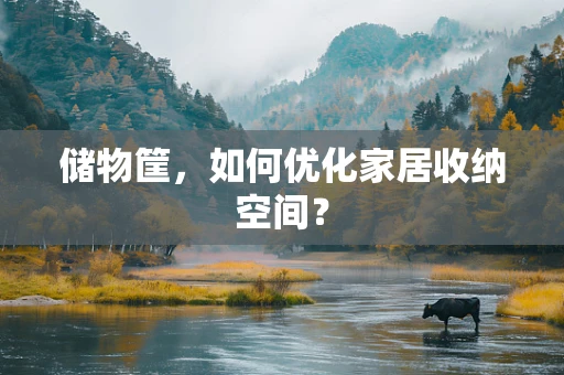 储物筐，如何优化家居收纳空间？