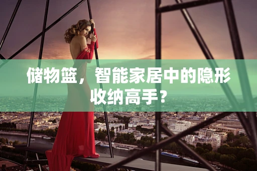 储物篮，智能家居中的隐形收纳高手？