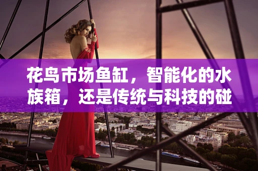 花鸟市场鱼缸，智能化的水族箱，还是传统与科技的碰撞？