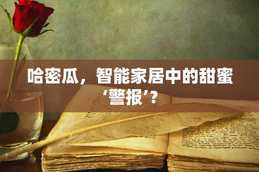 哈密瓜，智能家居中的甜蜜‘警报’？
