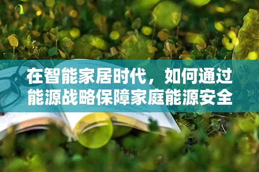 在智能家居时代，如何通过能源战略保障家庭能源安全？