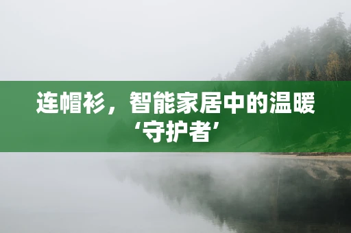 连帽衫，智能家居中的温暖‘守护者’