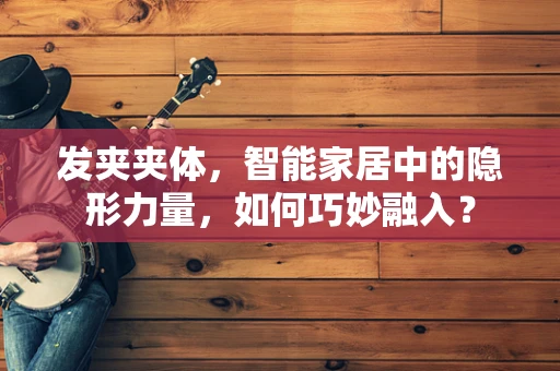 发夹夹体，智能家居中的隐形力量，如何巧妙融入？