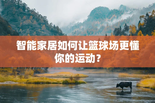智能家居如何让篮球场更懂你的运动？