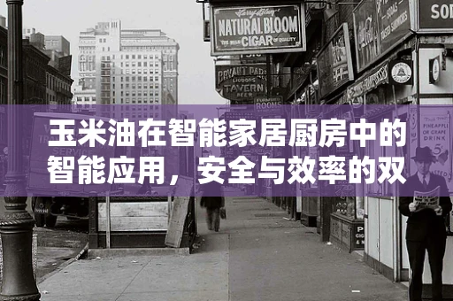玉米油在智能家居厨房中的智能应用，安全与效率的双重提升？